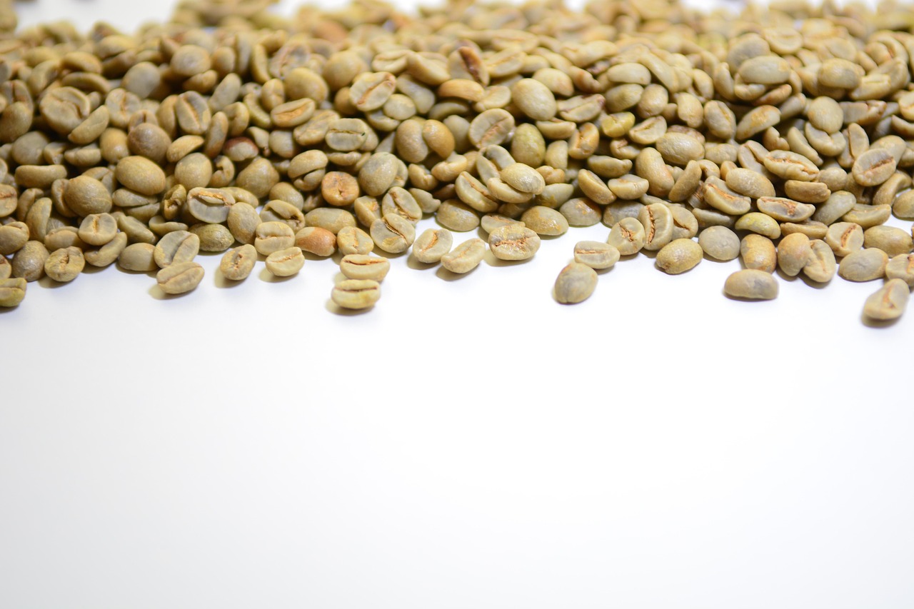Washed Coffee Beans